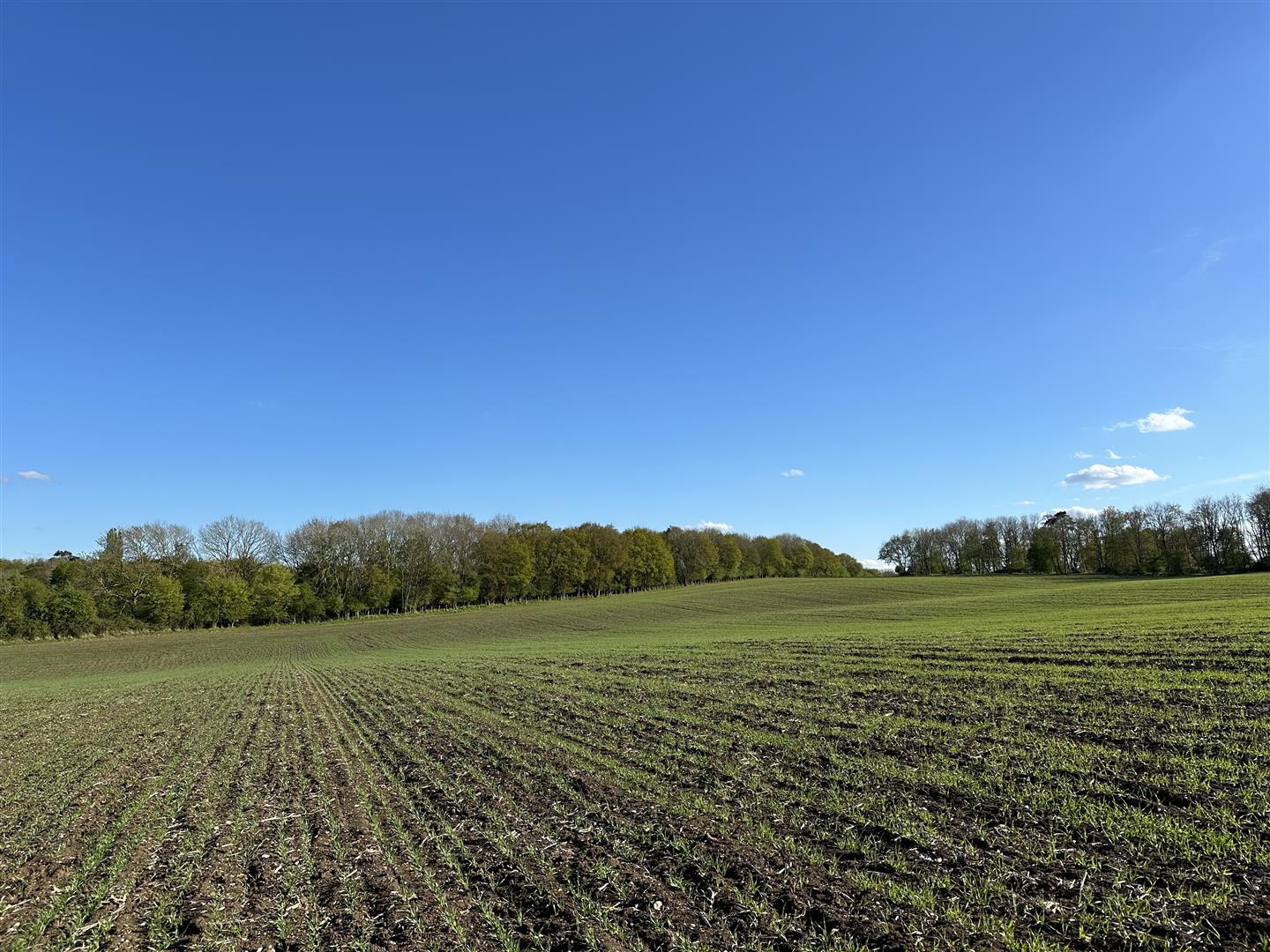 Rural property for sale in Saffron Walden Cheffins Cambridge Rural